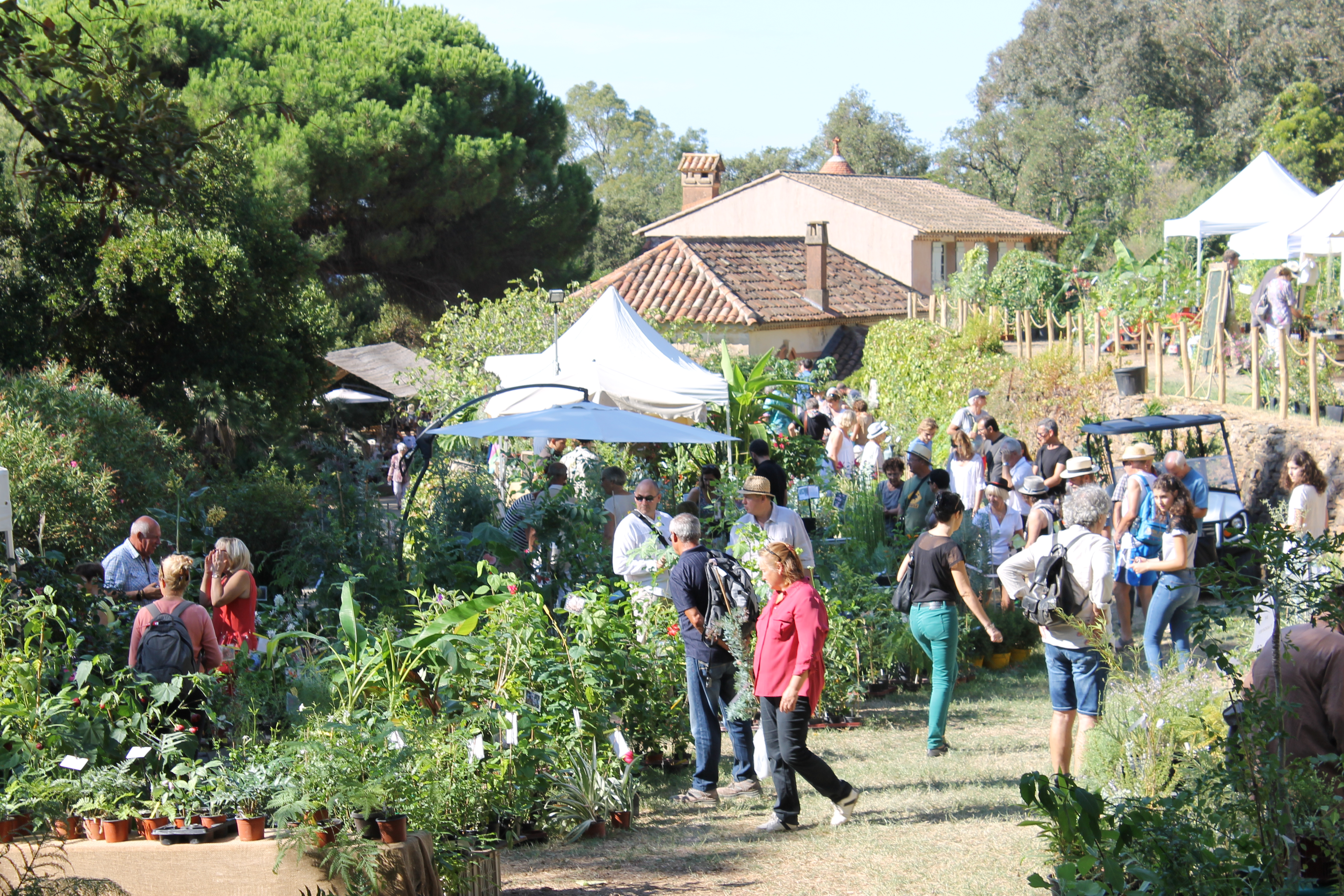 Gondwana, Fête de l'Automne