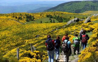 Itinéraires des sentiers pédestres en Montagne d&rsquo;Ardèche - Itinéraires des sentiers pédestres en Montagne d&rsquo;Ardèche