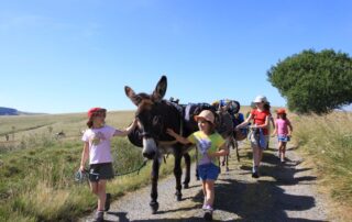 Reiten Sie mit einem Esel