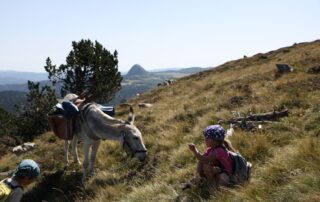 Reiten Sie mit einem Esel