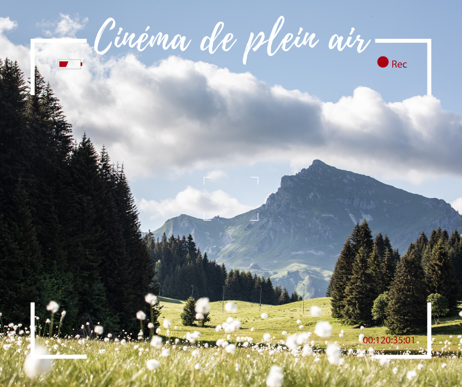 Cinéma de plein air