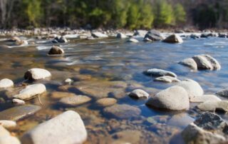 Action citoyenne :  nettoyage des berges du Masméjean