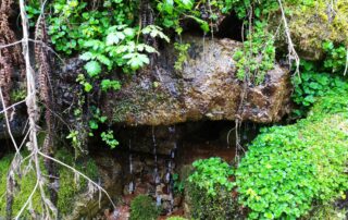 Les Petites Cahutes | Gîte Socabenga
