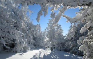 Réveillon raquettes aux pieds… du massif du Mézenc © Olivier Mathis - MCR Réveillon raquettes aux pieds… du massif du Mézenc © Olivier Mathis - MCR