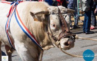 Fête du Fin gras du Mézenc