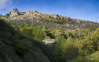 La Ferme aux Saveurs de Borne