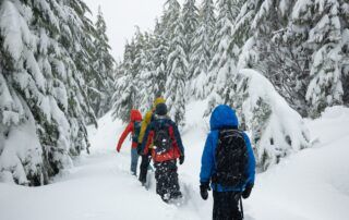 Randonnée découverte en raquettes sur la Montagne d'Ardèche