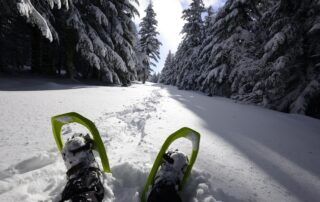 Night snowshoe hike and possibility of meals