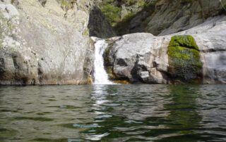 Baignade en rivière