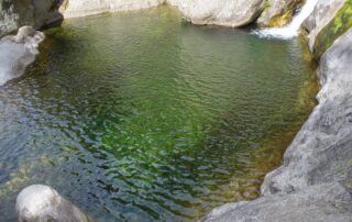 Baignade en rivière