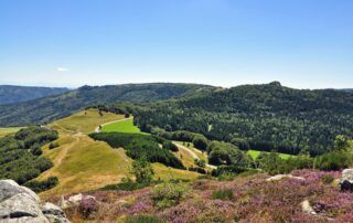 Panorama from the summit of the Suc de Montivernoux