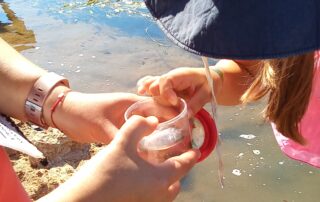 Pêche des p'tites bêtes