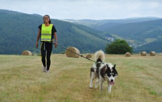 Promenade en cani-rando