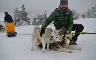 Hike with dogs