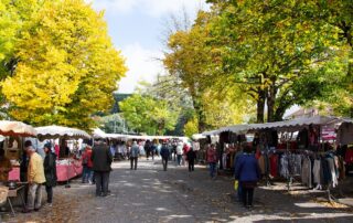 Foire aux champignons et aux chevaux