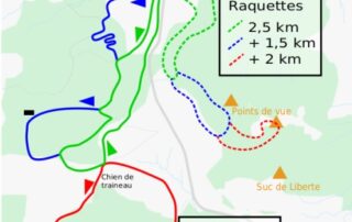 Nordic freedom area of ​​Mont Gerbier de Jonc