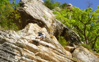 Via Corda Ceven&rsquo;Aventure © Ceven'Aventure