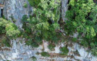 Via Corda Ceven&rsquo;Aventure ©  VISION'AIR drogeat-drone-production.com