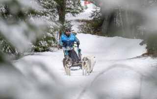 La Grande Odyssée Royal Canin © Benoît Diacre