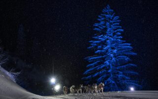 Photo © Benoit Diacre