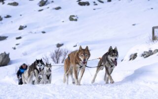 Photo © Romain Tissot