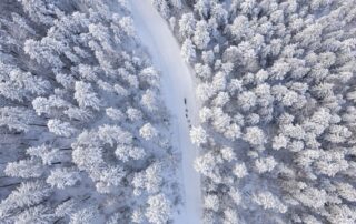 Photo © Benoit Diacre