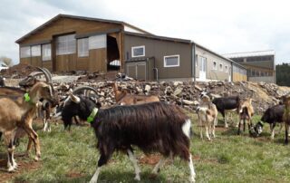 Besuch der Montmoulard-Farm