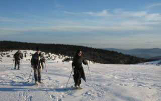 Snowshoe outing