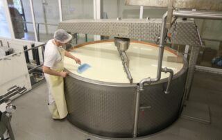 Cheese dairy - Gerentes dairy