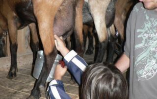 Ferme de Montmoulard - GAEC des Auverchoises