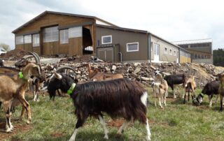 Montmoulard Farm - GAEC des Auverchoises