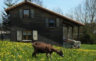 Ferme de Montmoulard - Gîte La Source