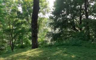 Chez Anne-Marie