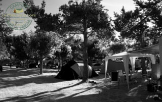 Campingplatz La Plaine de la Loire