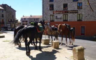 Centre équestre et école d'équitation 