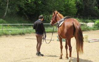 Equestrian center and riding school