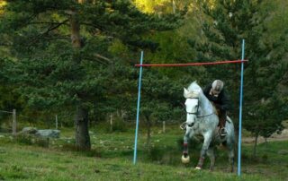 Equestrian center and riding school