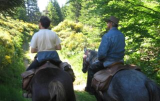 Equestrian center and riding school