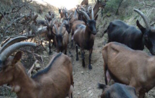 Ferme Cab'riou