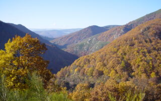 Camping Municipal Le Ceytrou