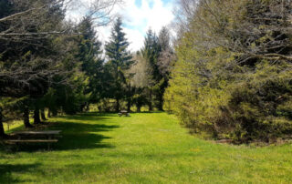 Municipal campsite of Sainte-Eulalie