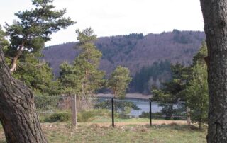 The cottages of Lac d'Issarlès 1