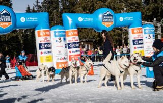 La Grande Odyssée Royal Canin © Flavien Etheve