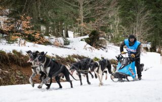 La Grande Odyssée Royal Canin © Flavien Etheve