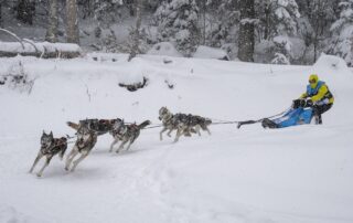 La Grande Odyssée Royal Canin © Romain-TISSOT