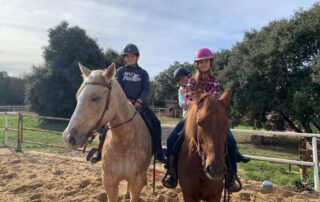 Stage pour enfants et adolescents : vivre la vie d’un cowboy