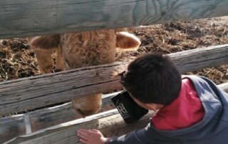 Stage pour enfants et adolescents : vivre la vie d'un cowboy