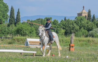 Stage équestre – Equitation de travail