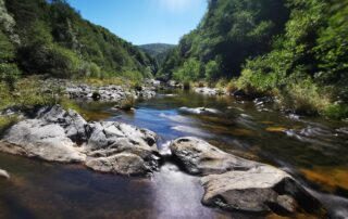 Die Überquerung der Quellen der Loire