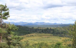 The Sagne-Redonde peat bog